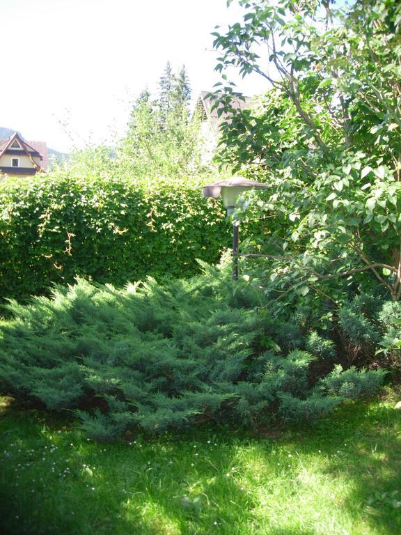 Pokoje Goscinne Koscielisko Az Somatic Dış mekan fotoğraf